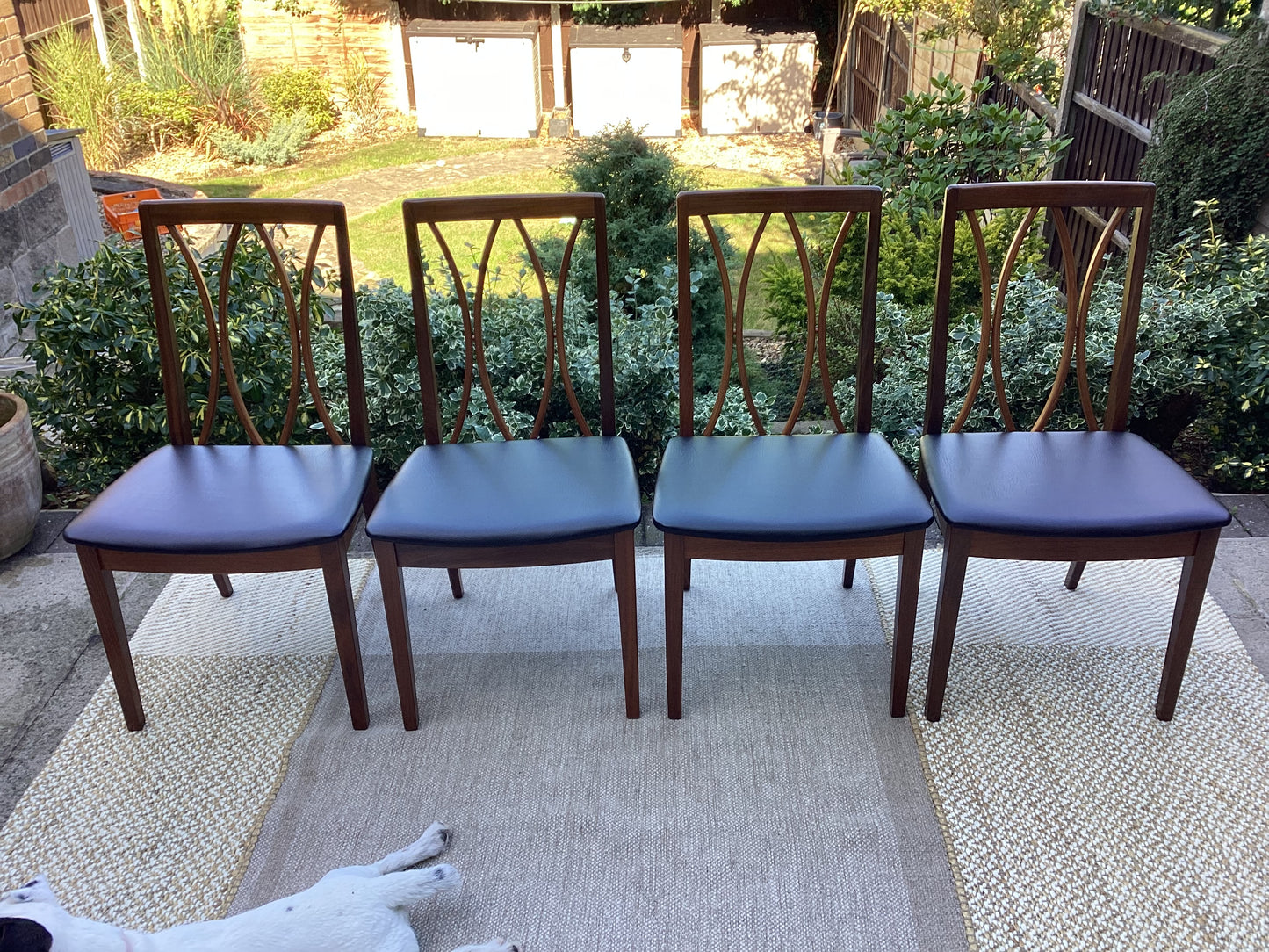 G plan Mid Century Teak And Afromosia Dining Chairs x 4