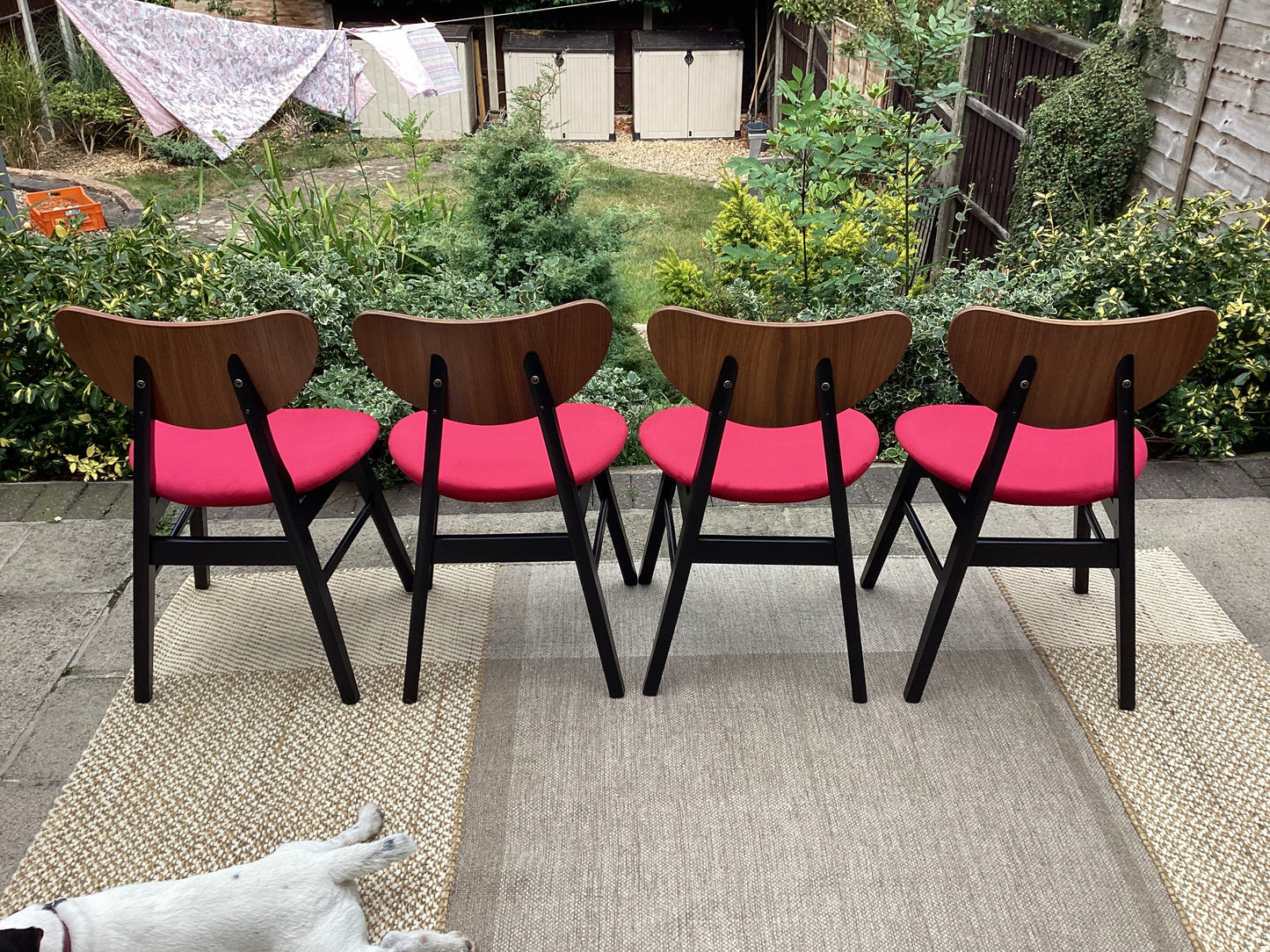 Mid Century Tola Wood Drop Leaf Dining Table With 4 Butterfly Dining Chairs